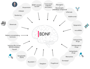 Born to Protect: Leveraging BDNF Against Cognitive Deficit in Alzheimer ...