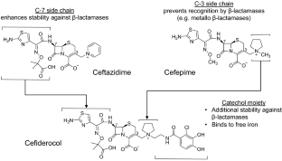 Cefiderocol: A Siderophore Cephalosporin with Activity Against ...