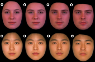dimorphism caucasian attractiveness masculine stereotypically generally feminization