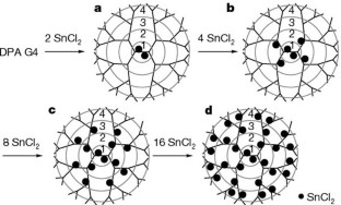 Stepwise radial complexation of imine groups in phenylazomethine