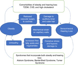 A narrative review of obesity and hearing loss | International Journal ...