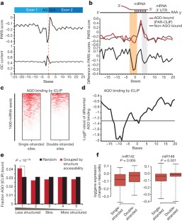 Landscape and variation of RNA secondary structure across the human ...