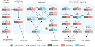 Identification of genomic alterations in oesophageal squamous cell
