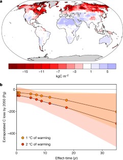 Quantifying Global Soil Carbon Losses In Response To Warming | Nature