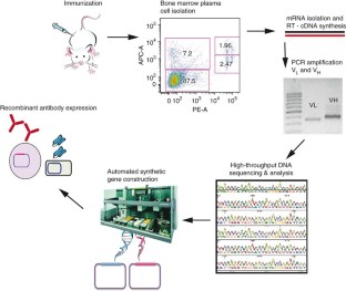 immune repertoire capture stanford nature biotech