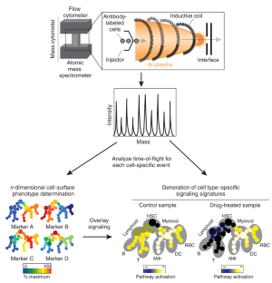 Next-generation flow cytometry | Nature Biotechnology