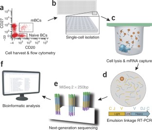 immune repertoire capture stanford nature biotech immune repertoire capture stanford nature biotech