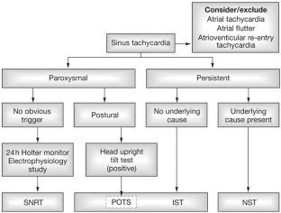 The sinus tachycardias | Nature Reviews Cardiology