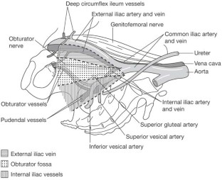 The role of lymphadenectomy in prostate cancer | Nature Reviews Urology