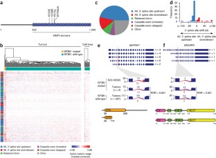 Comprehensive genomic analysis of malignant pleural ...