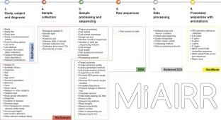 immune cell repertoire