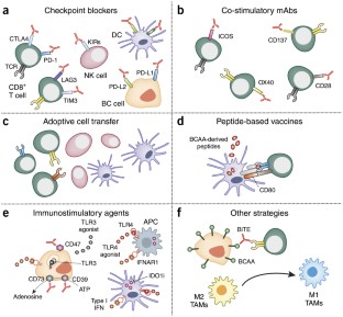 Natural and therapy-induced immunosurveillance in breast cancer ...