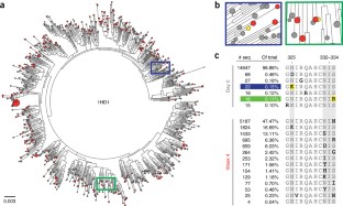 hiv suppresses infected individuals 1074 antibody viremia