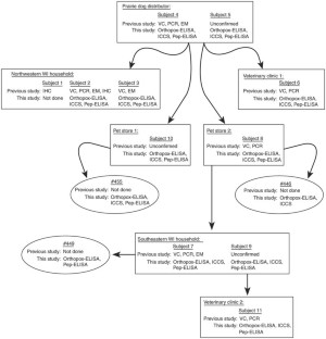 Multiple diagnostic techniques identify previously vaccinated ...