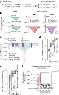 mrna sequence mrna sequence