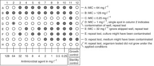Agar and broth dilution methods to determine the minimal inhibitory ...