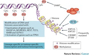 Small-cell lung cancer: what we know, what we need to know and the path