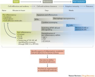 Resolution of inflammation a new therapeutic frontier  Nature Reviews