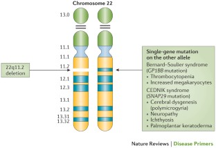 22q11.2 deletion syndrome | Nature Reviews Disease Primers