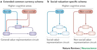 The neurobiology of rewards and values in social decision making ...