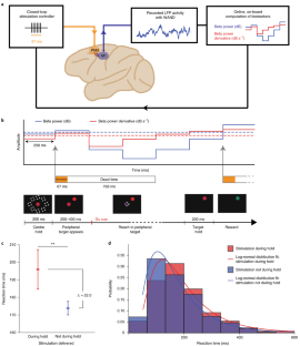 A wireless and artefact-free 128-channel neuromodulation device for ...