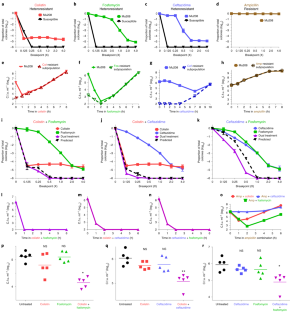 Antibiotic combinations that exploit heteroresistance to multiple drugs