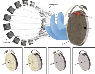 Amplification of waves from a rotating body | Nature Physics