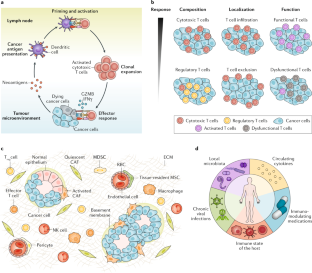 Next-generation computational tools for interrogating cancer immunity ...