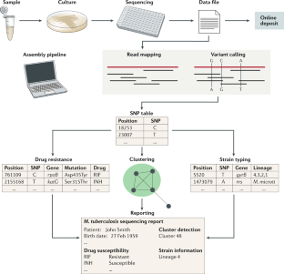 Whole genome sequencing of Mycobacterium tuberculosis: current ...