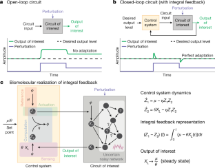 A universal biomolecular integral feedback controller for robust ...