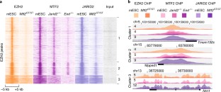 MTF2 recruits Polycomb Repressive Complex 2 by helical-shape-selective DNA binding | Nature Genetics