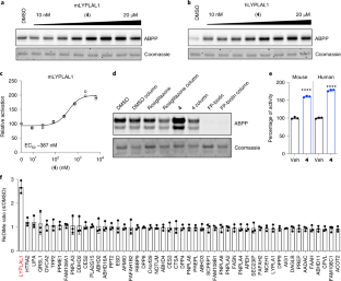 Discovery of small-molecule enzyme activators by activity-based protein ...