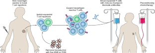 Developing neoantigen-targeted T cell–based treatments for solid tumors ...