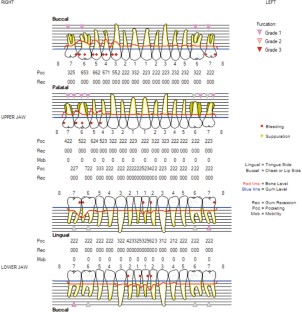 Periodontal diagnosis in the context of the BSP implementation plan for ...