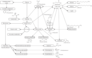 Volatile Compounds of Bacterial Origin: Structure, Biosynthesis, and ...