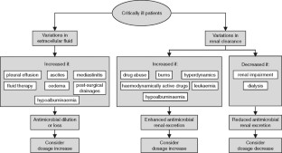 What is cognitive appraisal theory?