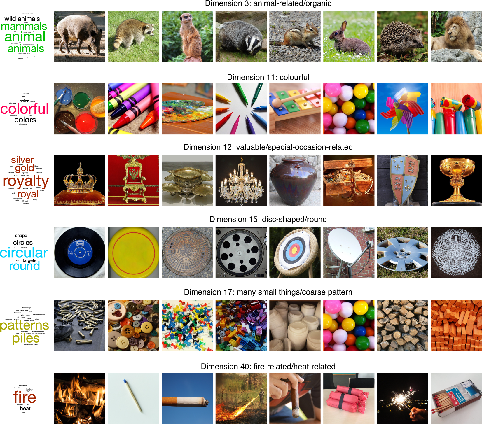 Interpretable dimensions