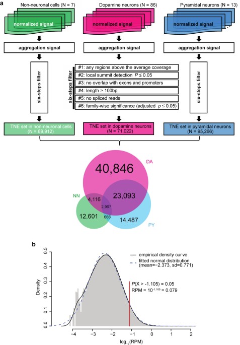Ge matrix essay 05 image
