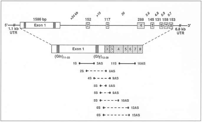 feature-image
