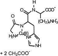 Human skin penetration of a copper tripeptide in vitro as a function of skin layer | Inflammation Research