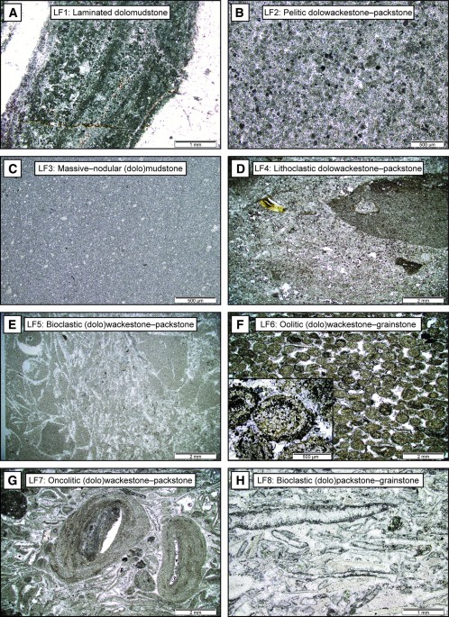 13. Precessional cycles in grain-size parameters recorded at site GeoB