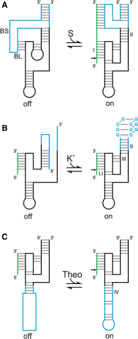 PDF) Functional characterization of the SOFA