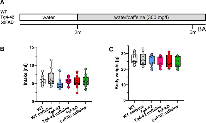 Search strategy analysis of Tg4-42 Alzheimer Mice in the Morris