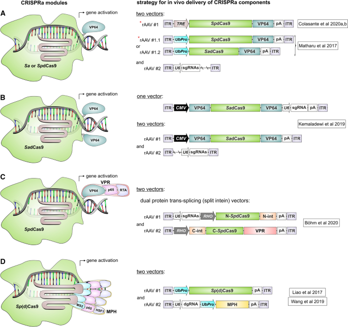Super Interessante #453 - Jul23, PDF, CRISPR