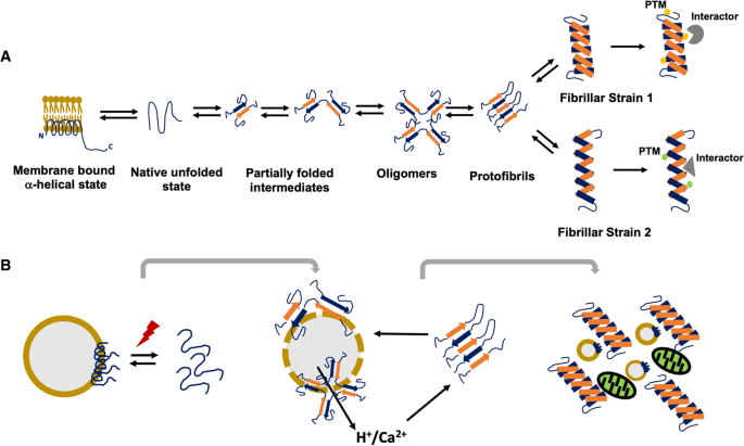 α-Synuclein Aggregation in Treatment of Parkinson's Disease