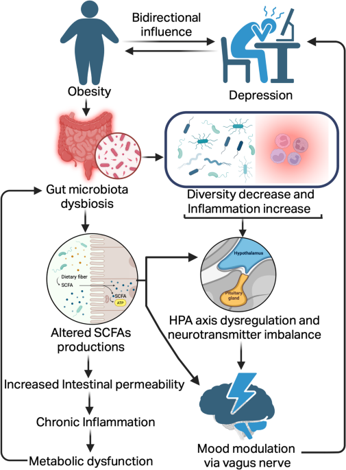 semaglutide gut microbiome The microbiota in obesity and weight management: microbes as friends or foe?