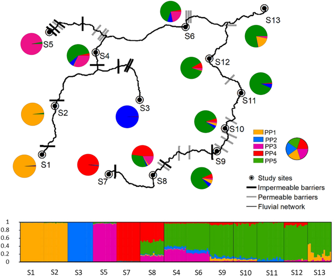 Comparing RADseq and microsatellites for estimating genetic diversity and  relatedness — Implications for brown trout conservation - Lemopoulos - 2019  - Ecology and Evolution - Wiley Online Library