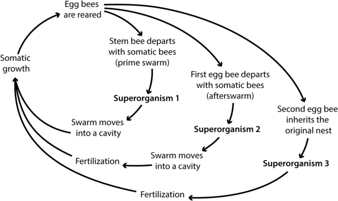 media.springernature.com image