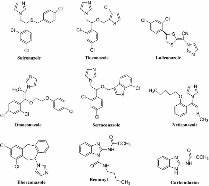 Table 2 from A REVIEW ON “DRUGS CONTAINING IMIDAZOLES AND TRIAZOLE  HETEROCYCLIC RING IN ANTIFUNGAL THERAPY” | Semantic Scholar
