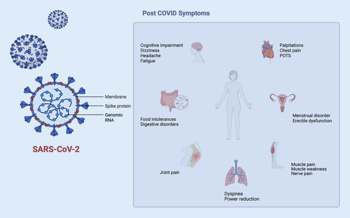 liposomal glutathione long covid A practical approach for the treatment of post-COVID symptoms | Herz